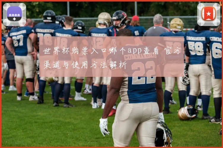 世界杯购票入口哪个app查看 官方渠道与使用方法解析