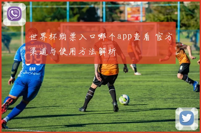 世界杯购票入口哪个app查看 官方渠道与使用方法解析