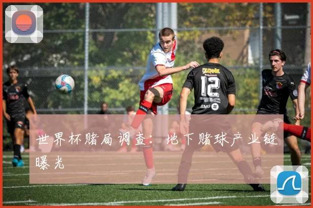 世界杯赌局调查：地下赌球产业链曝光
