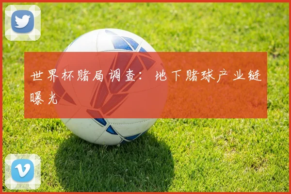世界杯赌局调查:地下赌球产业链曝光