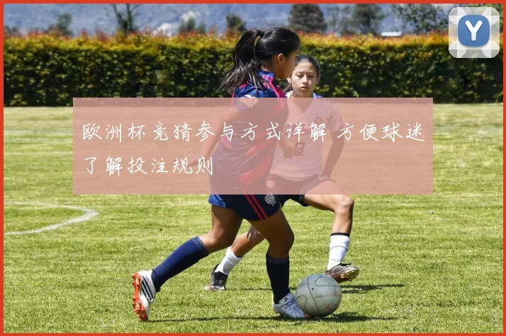 欧洲杯竞猜参与方式详解 方便球迷了解投注规则
